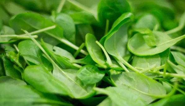 Foto - Sigara içenler dikkat! Akciğerleri tertemiz yapıyor