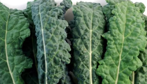 Foto - Sigara içenler dikkat! Akciğerleri tertemiz yapıyor