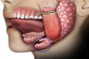 Foto - Sigara içenler dikkat! Bunları bilseydiniz bir kez daha düşünürdünüz