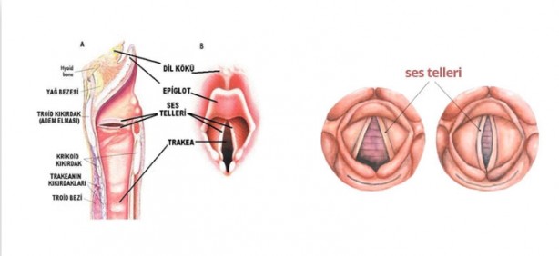 Foto - Sigara içenler dikkat! Bunları bilseydiniz bir kez daha düşünürdünüz