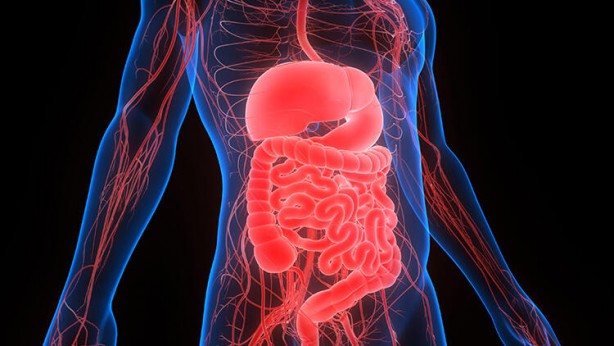 Foto - Sigara içenler dikkat! Bunları bilseydiniz bir kez daha düşünürdünüz