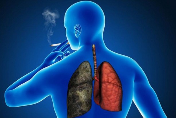 Sigara içenler dikkat! Günde 1 avuç tüketerek ciğerleri temizleyin