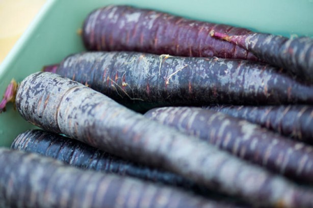 Foto - Sigara içenler dikkat! İşte akciğerleri temizleyen yiyecekler