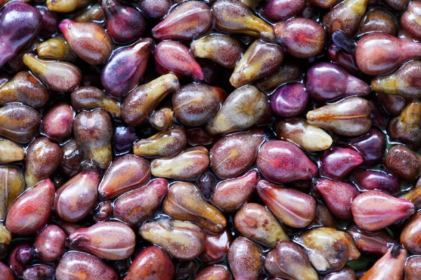 Foto - Sigara içenler dikkat! İşte akciğerleri temizleyen yiyecekler