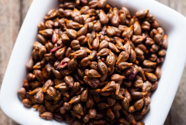 Foto - Sigara içenler dikkat! İşte akciğerleri temizleyen yiyecekler