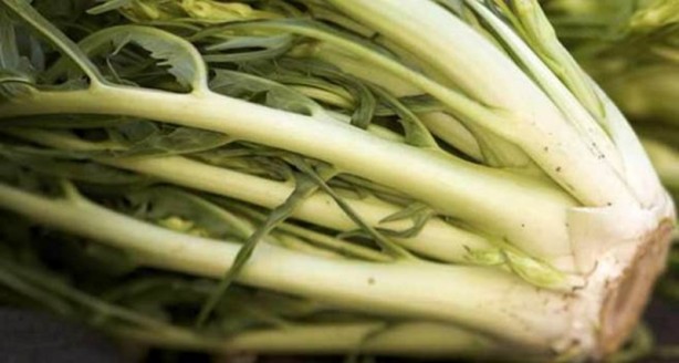 Foto - Sigara içenler dikkat! İşte karaciğerdeki zehri atan en etkili gıda