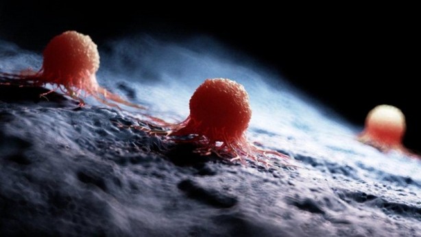 Foto - Sigara içenler dikkat! Kandaki zehri vücuttan tamamen atıyor