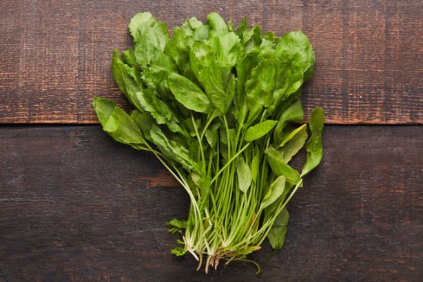 Foto - Sigaranın harap ettiği ciğerleri temizliyor! İşte muhteşem ot