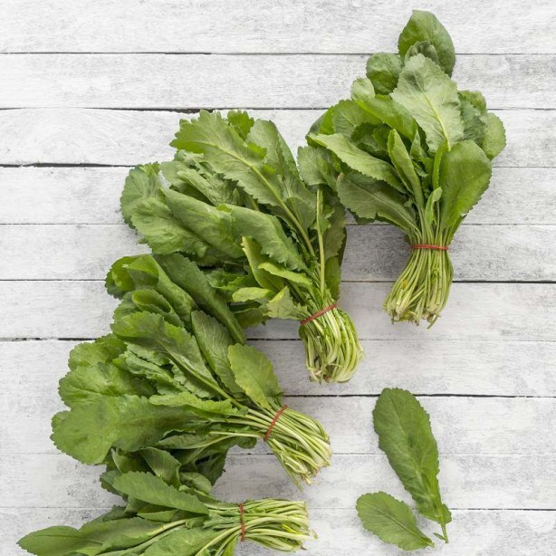 Foto - Sigaranın harap ettiği ciğerleri temizliyor! İşte muhteşem ot