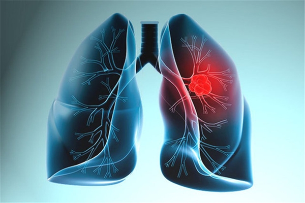 Foto - Sigarayı bıraktığımızda vücudumuza ne oluyor?