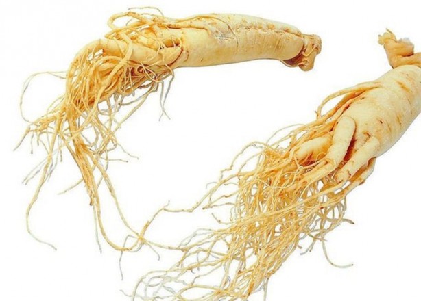 Foto - Sigarayı yoğurtla bırakın!