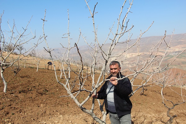 Foto - Siirt'te çiftçiler kara kara düşünüyor