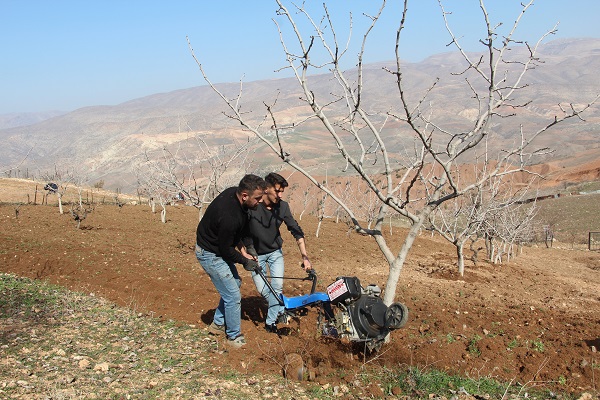 Foto - Siirt'te çiftçiler kara kara düşünüyor