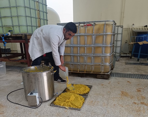 Foto - Siirt'ten sevindiren haber! Fıstıktan üretilip Avrupa'ya satılacak