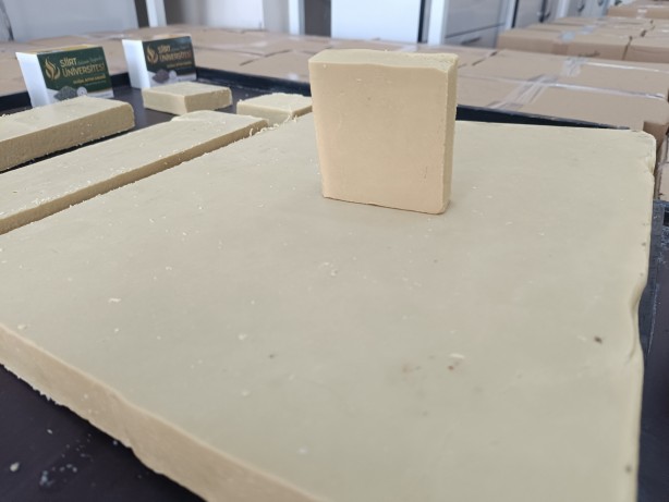 Foto - Siirt'ten sevindiren haber! Fıstıktan üretilip Avrupa'ya satılacak