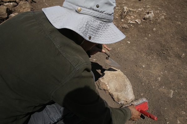 Foto - Şika Rika Höyüğü'nde çok konuşulacak keşif