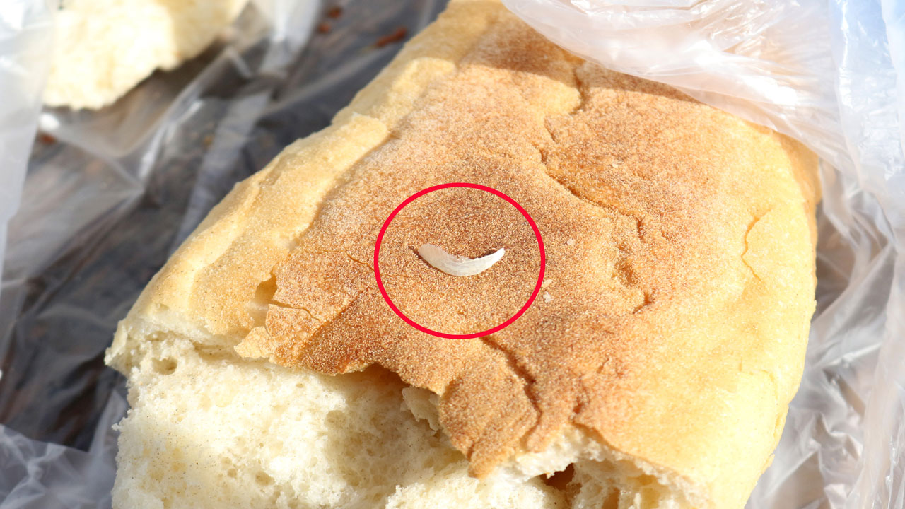 Şikayet eden müşteriye tehdit yağdı... Ekmeğin içinden öyle bir şey çıktı ki! 