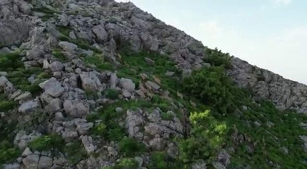 Foto - Silah sesleri yerini yaban keçilerine bıraktı