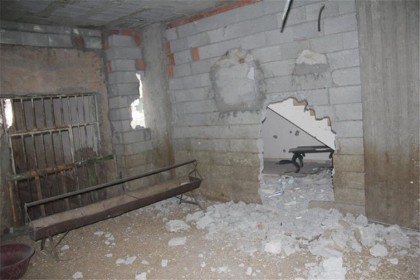 Foto - Silahlarını saklayıp da teslim olmuşlar