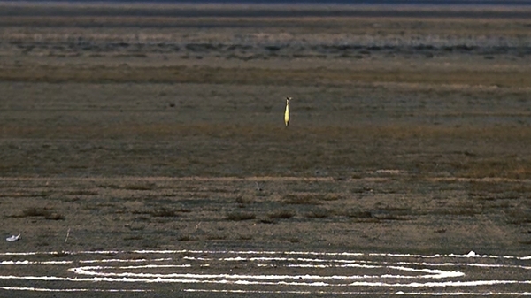 Foto - Silahlı drone Songar, Togan ile ilke imza atacak