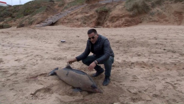 Foto - Şile'de üzücü olay