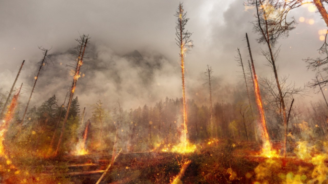 Foto - Şimdi de Baba Vanga'yı Türk halkının başına bela etti! İşte 2026 tahminleri