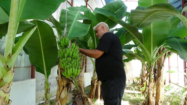 Şimdi herkes başarısını konuşuyor! Yapılamaz denileni yaptı