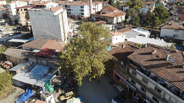 Foto - Şimdi ilçenin simgesi ama bir zamanlar darağacıydı! 
