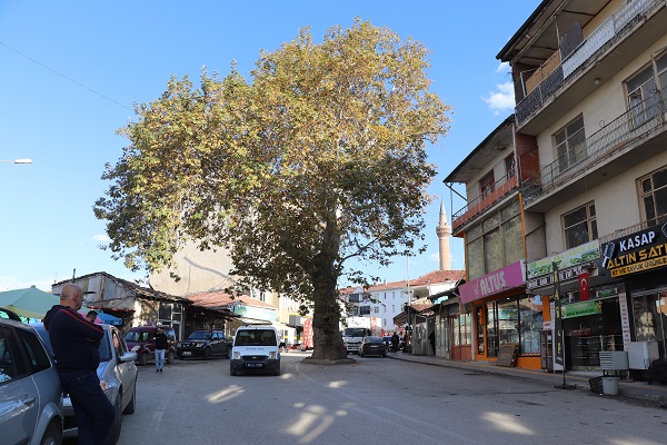 Foto - Şimdi ilçenin simgesi ama bir zamanlar darağacıydı! 