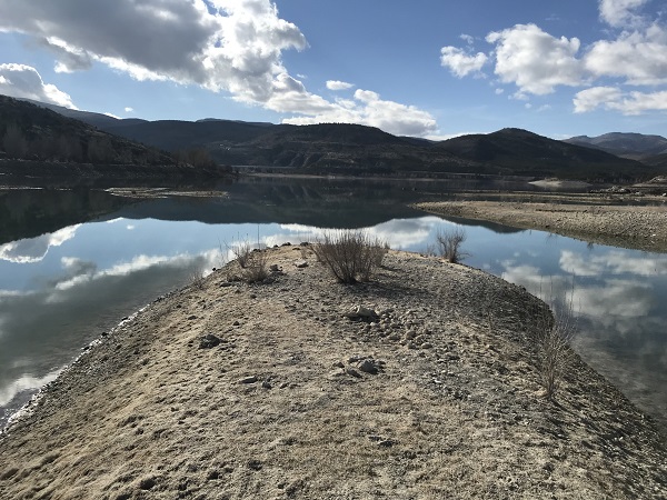 Foto - Şimdi ne olacak? Hububat rekoltesinde büyük tehlike