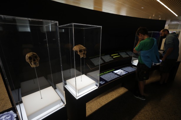 Foto - Şimdiye kadar bulunanların en eskisi! Bilim insanlarını şaşkına çeviren buluş