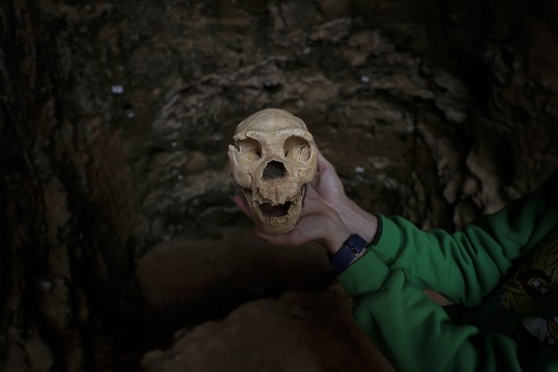 Foto - Şimdiye kadar bulunanların en eskisi! Bilim insanlarını şaşkına çeviren buluş