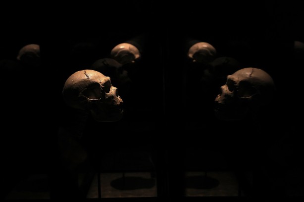 Foto - Şimdiye kadar bulunanların en eskisi! Bilim insanlarını şaşkına çeviren buluş