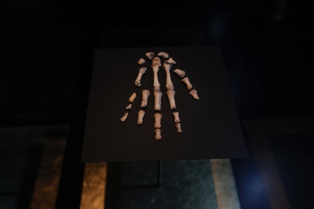 Şimdiye kadar bulunanların en eskisi! Bilim insanlarını şaşkına çeviren buluş