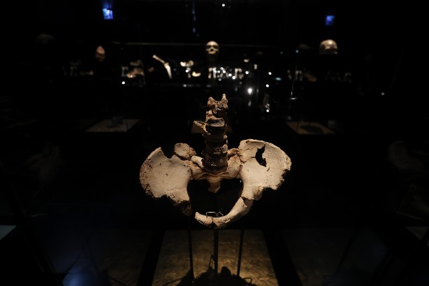 Foto - Şimdiye kadar bulunanların en eskisi! Bilim insanlarını şaşkına çeviren buluş