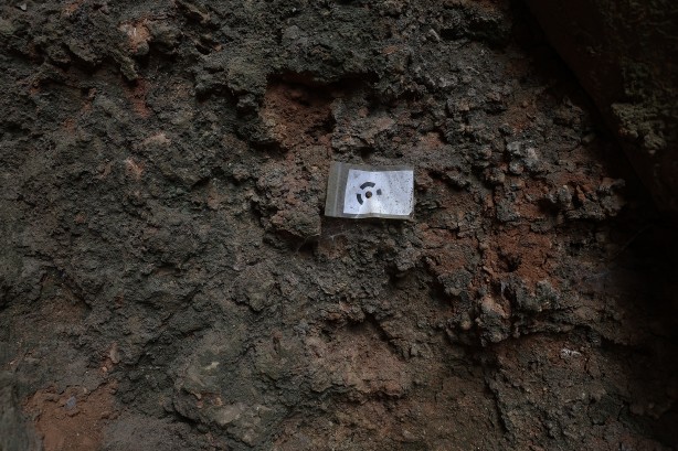 Foto - Şimdiye kadar bulunanların en eskisi! Bilim insanlarını şaşkına çeviren buluş