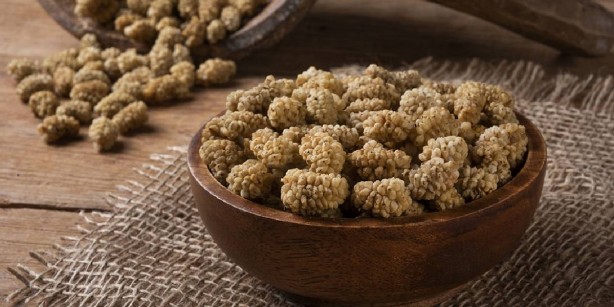 Foto - Şimdiye kadar denemediğinize pişman olacaksınız! Yoğurdun içine biraz ondan katan zımba gibi oluyor: İşte o mucizevi ikili