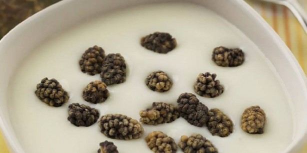 Foto - Şimdiye kadar denemediğinize pişman olacaksınız! Yoğurdun içine biraz ondan katan zımba gibi oluyor: İşte o mucizevi ikili