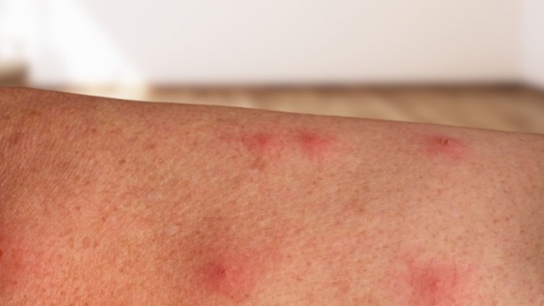 Foto - Simpsonlar filan hikaye! Yusuf Güney'in aylar önceki tahmini tuttu, herkes dehşete düştü