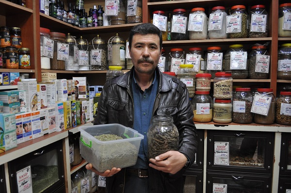 Foto - Sınav öncesinde talep yağıyor! İşte, hafıza güçlendiren o bitkiler