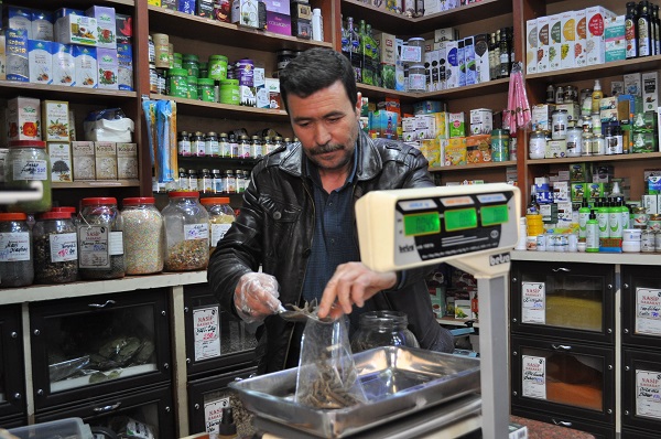 Foto - Sınav öncesinde talep yağıyor! İşte, hafıza güçlendiren o bitkiler