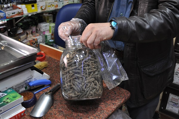 Foto - Sınav öncesinde talep yağıyor! İşte, hafıza güçlendiren o bitkiler