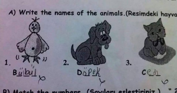 Foto - Sınavlarda verilmiş komik cevaplar