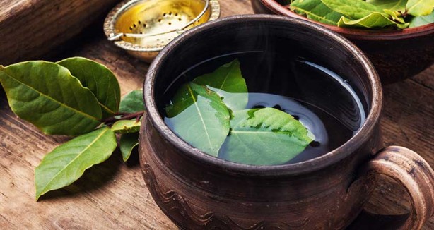 Foto - Sindirim sorunu olanlar dikkat! Defne yaprağının bu faydalarına çok şaşıracaksınız