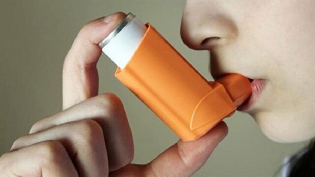 Foto - Sindirim sorunu olanlar dikkat! Defne yaprağının bu faydalarına çok şaşıracaksınız