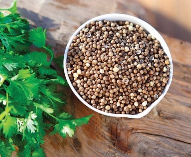 Foto - Sindirim sistemi dostu bitkiler