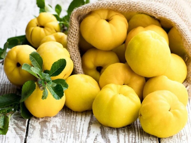 Foto - Sindirim sorunu çekenlere doğal çözüm