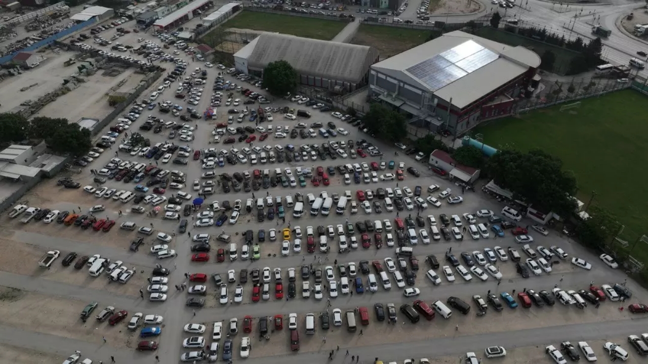 Sinek avlarken, birdenbire her şey tersine döndü! 150 bin TL’ye bile var! Orası resmen doldu taştı
