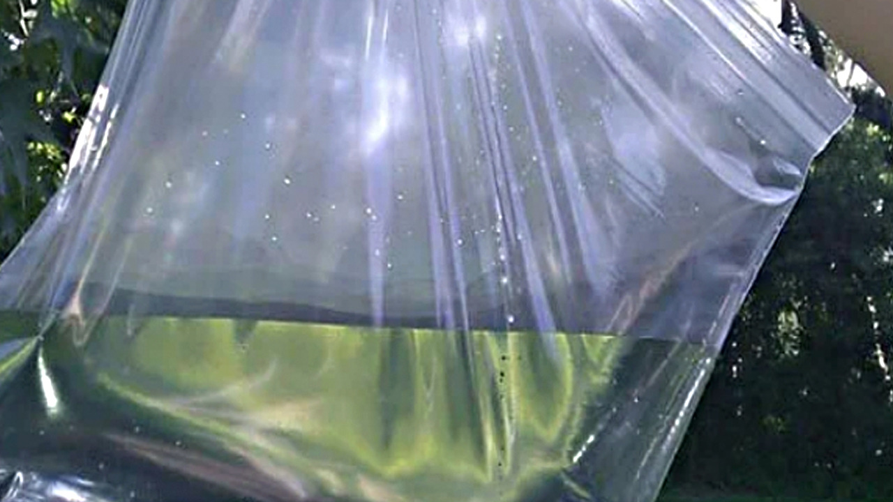 Foto - Ne sinek ne böcek evinizin eşiğine yaklaşamayacak: Bunu ilk defa duyacaksınız