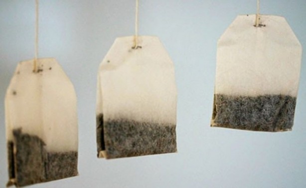 Foto - Sinek ısırığını geçirmek istiyorsanız...